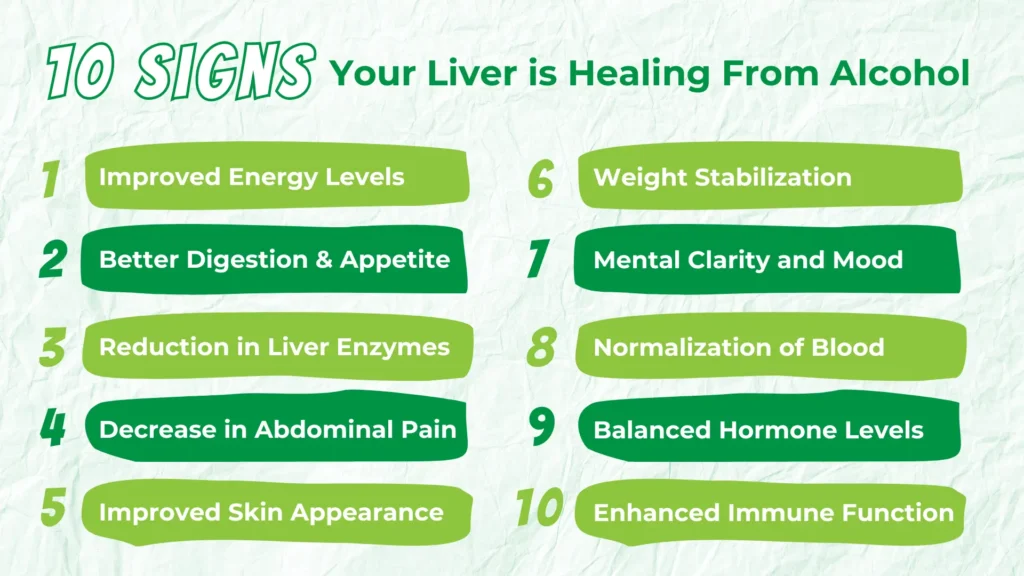 10 Signs Your Liver is Healing From Alcohol
