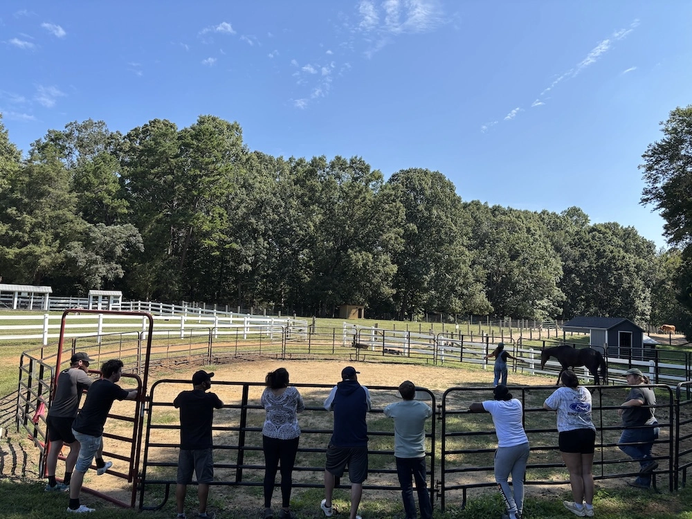 equine therapy for addiction treatment