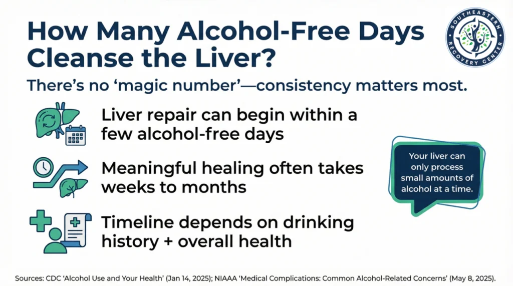 how many alcohol-free days cleanse the liver infographic