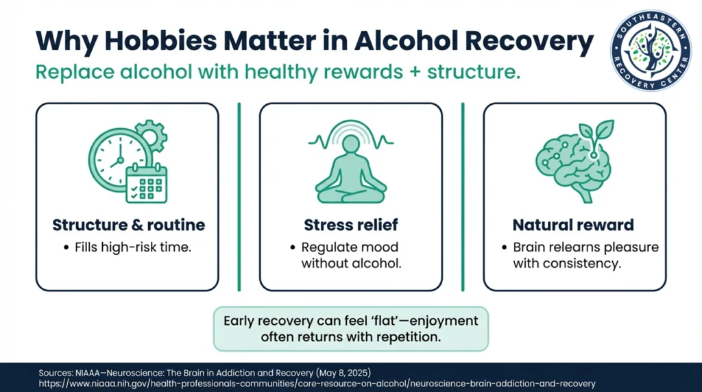 why hobbies matter in alcoholic recovery infographic